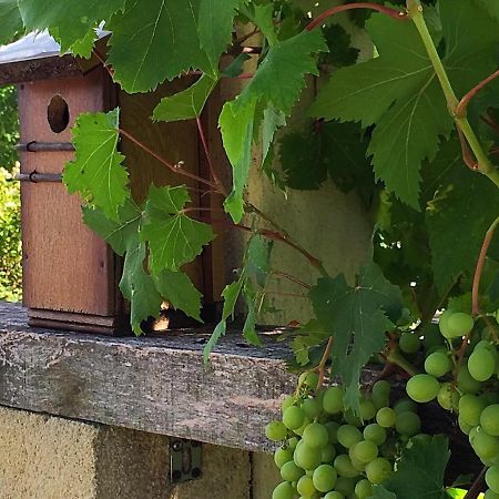 5 Lasserre Moulon-sur-Dordogne Exterior foto